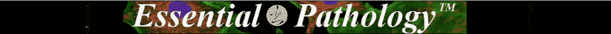 Essential Pathology